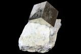 Shiny, Natural Pyrite Cube In Rock - Navajun, Spain #131109-1